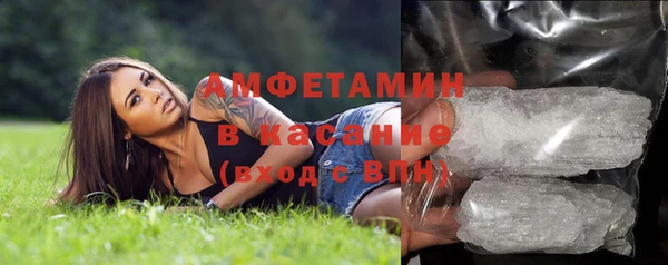 прущие грибы Богородицк