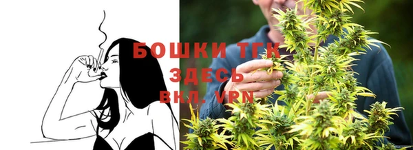 гашик Богородск